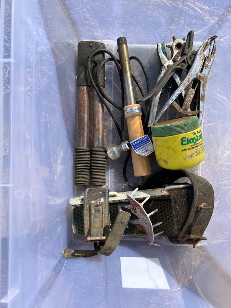 Lot 229 Animal husbandry tools AuctionsPlus