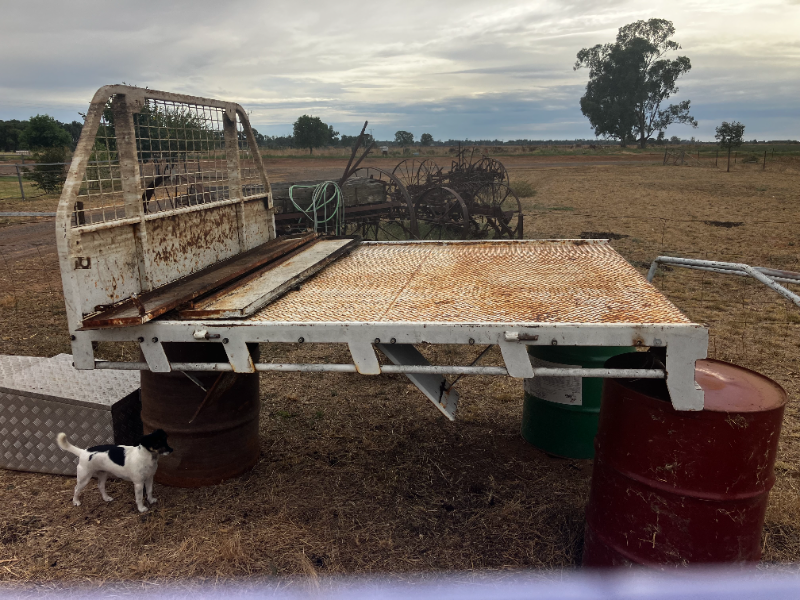 Lot 80 Hilux Tray AuctionsPlus