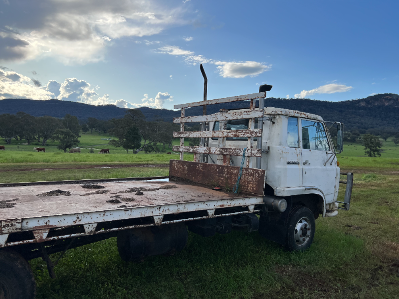 LOT 22 ISUZU SBR 422 TIPPER AuctionsPlus