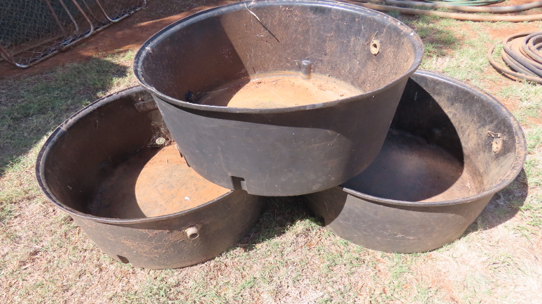 LOT 61 Poly feed tubs x 3 AuctionsPlus