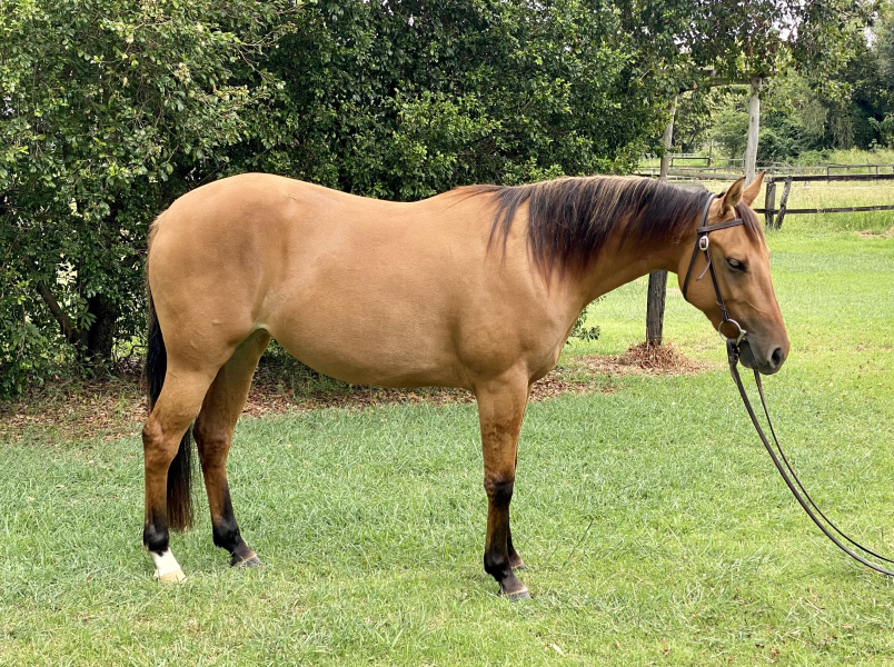 Lot 342 - LIL HOLLYWOOD STAR | AuctionsPlus