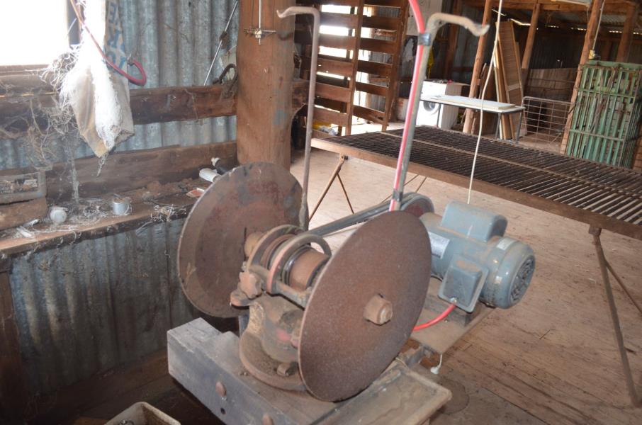 Lot 49 Shearing grinder with 1hp TECO motor AuctionsPlus