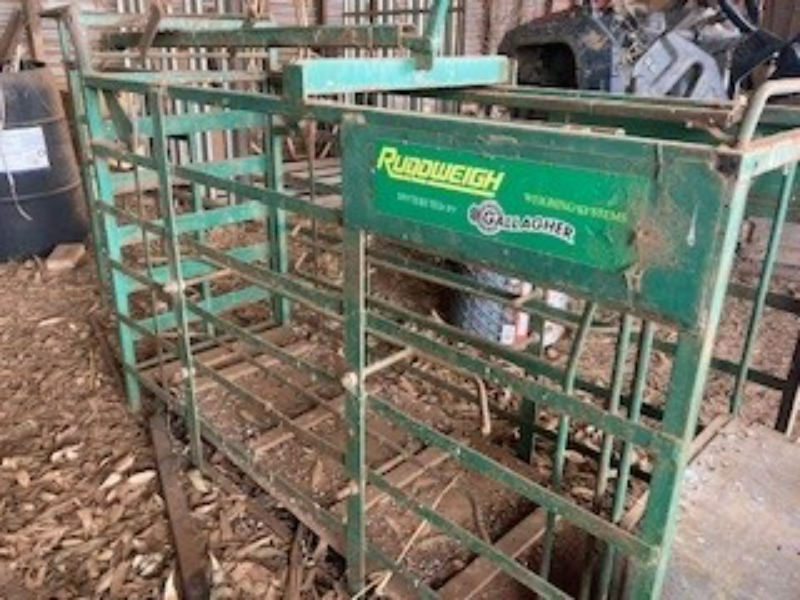 Lot 28 Ruddweigh Lamb Scales AuctionsPlus