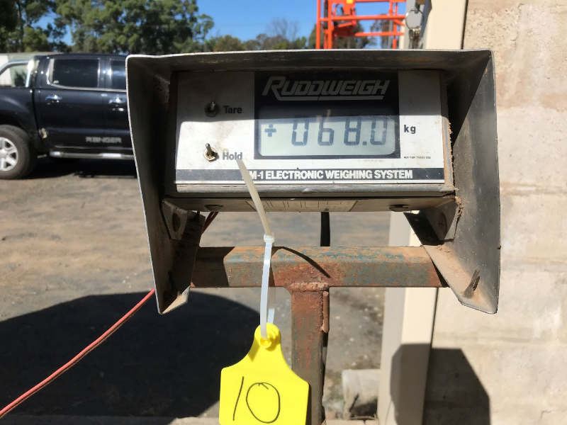Lot 10 Ruddweigh scales & Bars AuctionsPlus