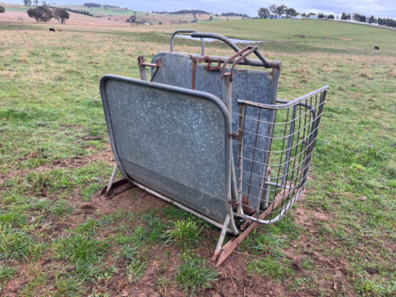Lot 93 Calf Cradle AuctionsPlus