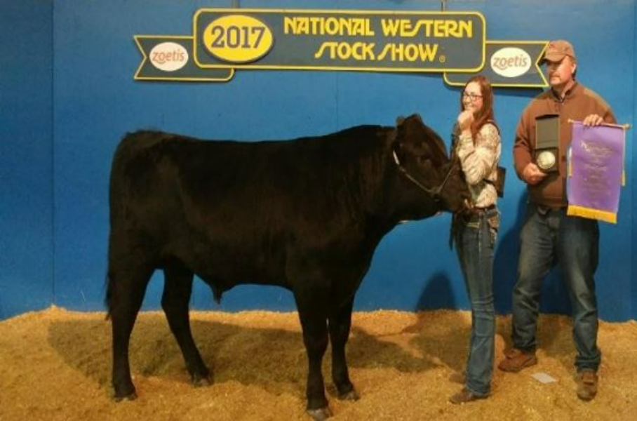 Lot 17 2 x Polled Wagyu Semen Straws KING RANCH WAGYU BSW 4 (ET) (P