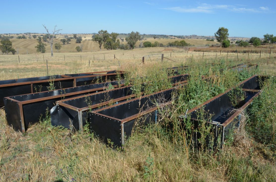 Lot 75 5x Conveyor Belt Cattle Feeders 6m AuctionsPlus