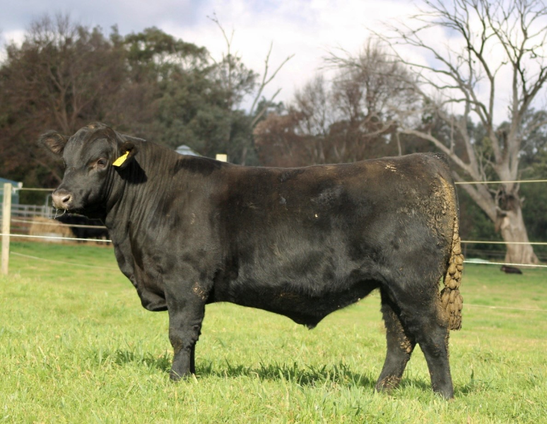 Lot 36 - MERIT FARM PARATROOPER K62 T40 | AuctionsPlus