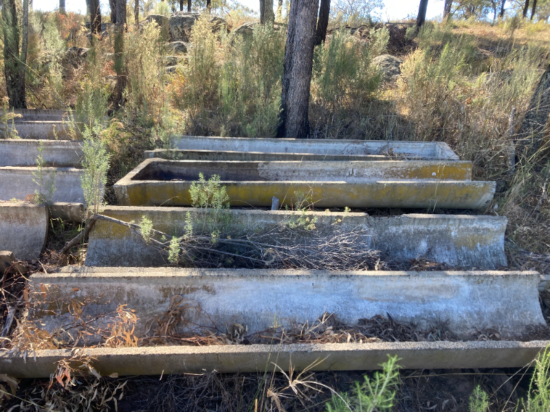 Lot 147 - CONCRETE TROUGHS | AuctionsPlus