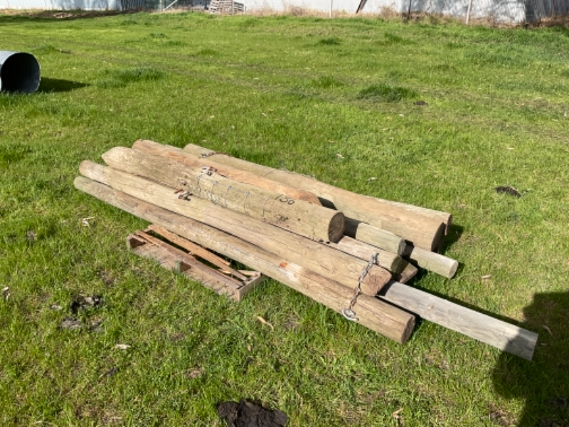 Lot 183 - 13 x Pine Fence Posts | AuctionsPlus