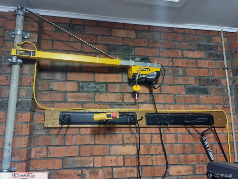 Lot 28 GORILLA Electric Hoist & Swing Arm AuctionsPlus