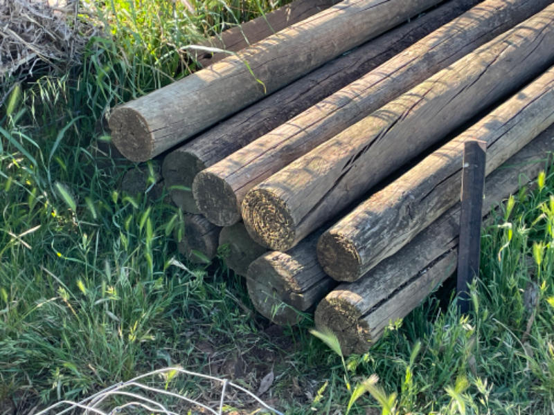 Pine Rails Lot 117 - Treated pine rails | AuctionsPlus