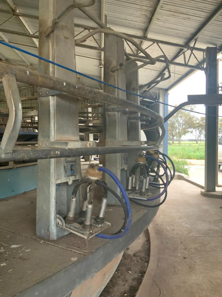 Lot 14 WRENS DAIRY AuctionsPlus