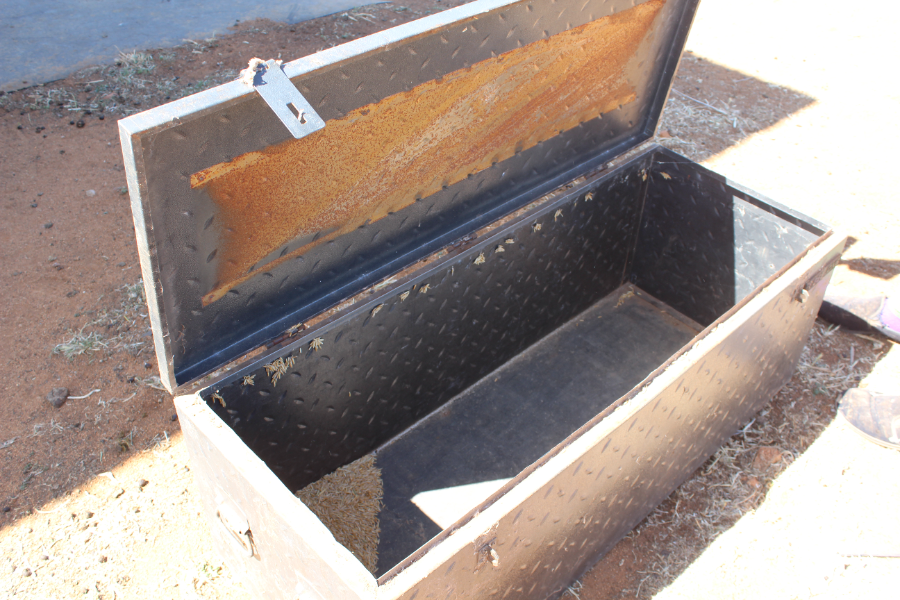 Lot 153 Lockable Geelong Tool Box AuctionsPlus