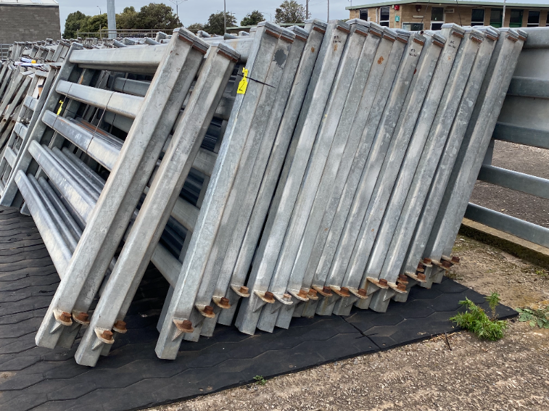 Lot 6 - Bull Panels | AuctionsPlus