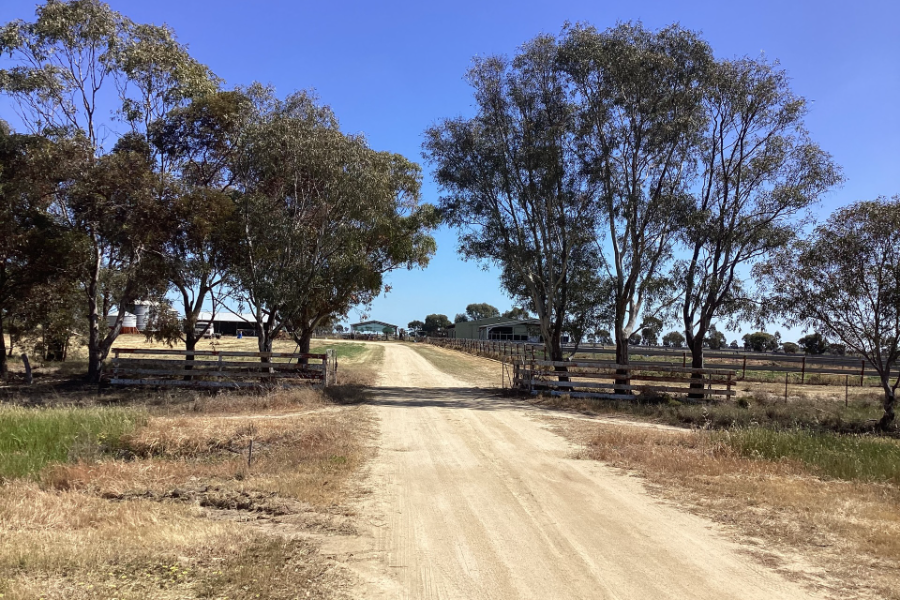 'HARDIES' NEWELL HWY, JERILDERIE ELDERS FINLEY PROPERTY AUCTION
