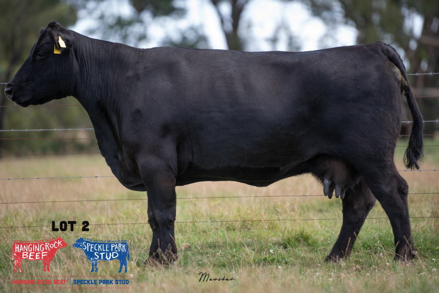 Sprawdzian Z Rozdziału 2 Z Histori Dla Klas 5 Lot 2 - Six Star 82U Janette F129 | AuctionsPlus