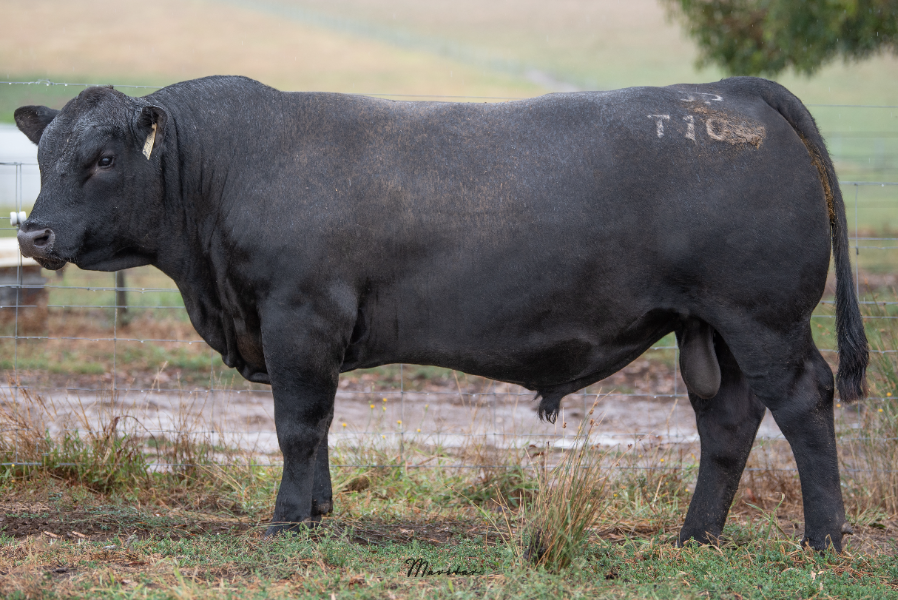 Lot 3 - JADE PARK TURBO T104 | AuctionsPlus