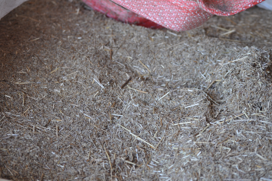 Lot 36 - Premier Digit Seed Gradings | AuctionsPlus