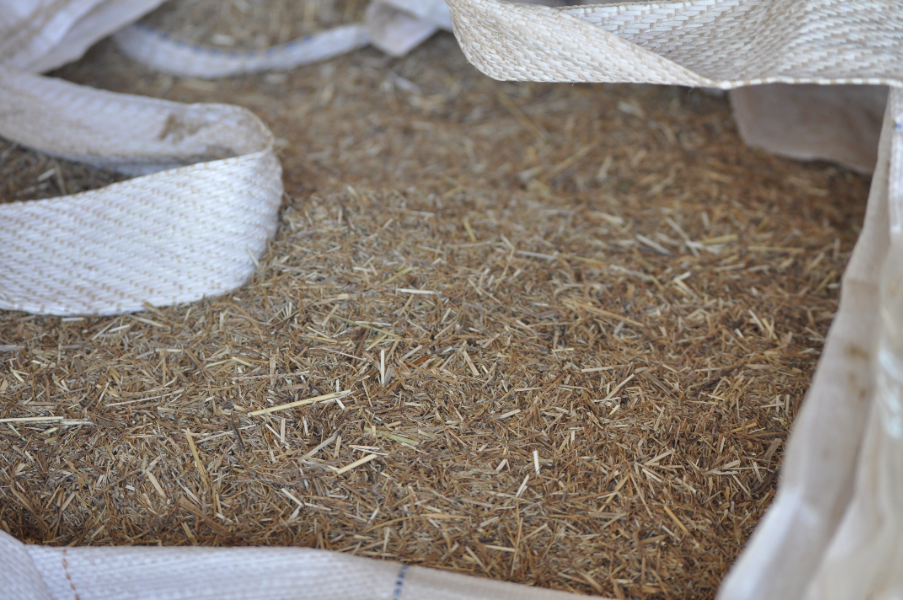 Lot 37 - Premier Digit Seed Gradings | AuctionsPlus