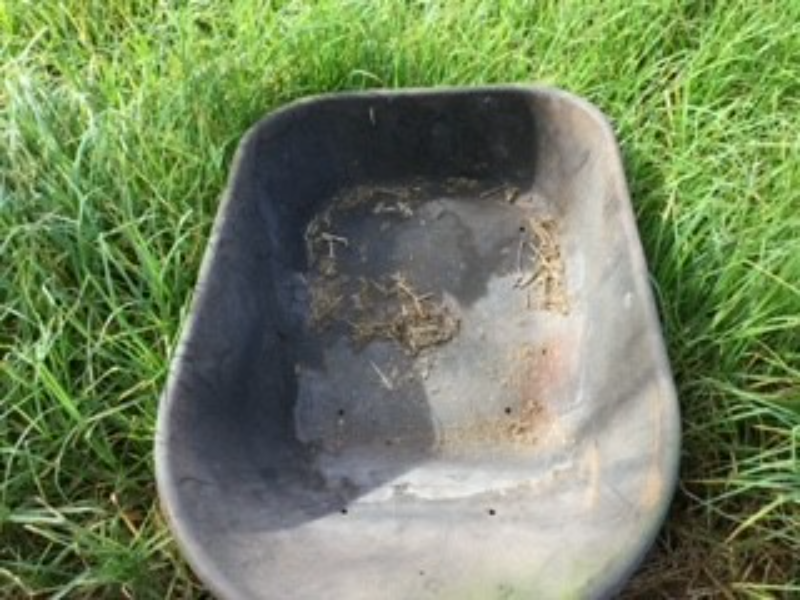 Lot 71 Wheelbarrow Tub Plastic, Tub only AuctionsPlus