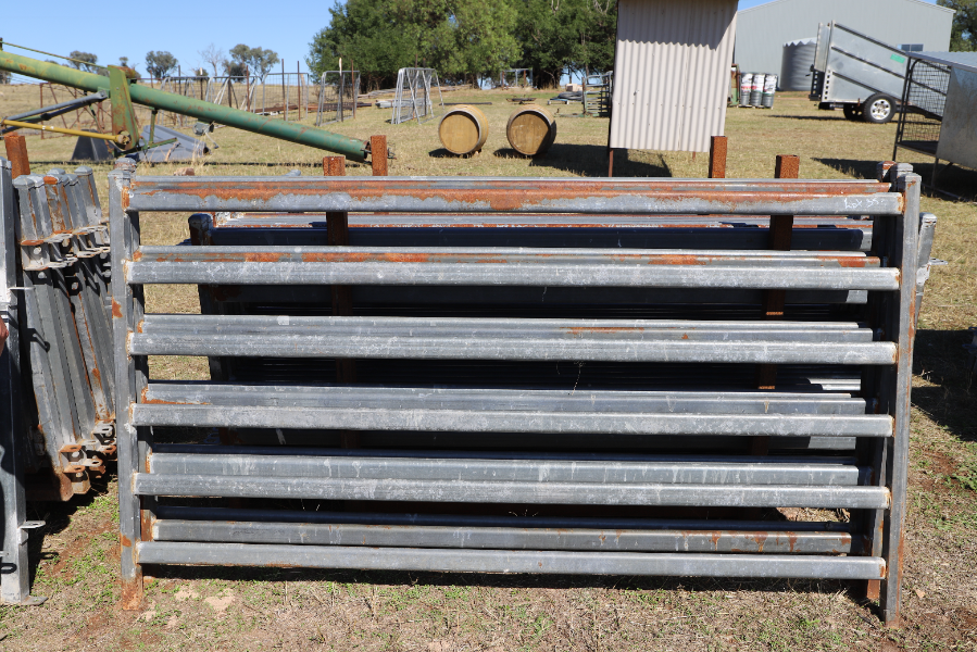 Lot 35 - Goat Panel x 3 ($/Panel) | AuctionsPlus
