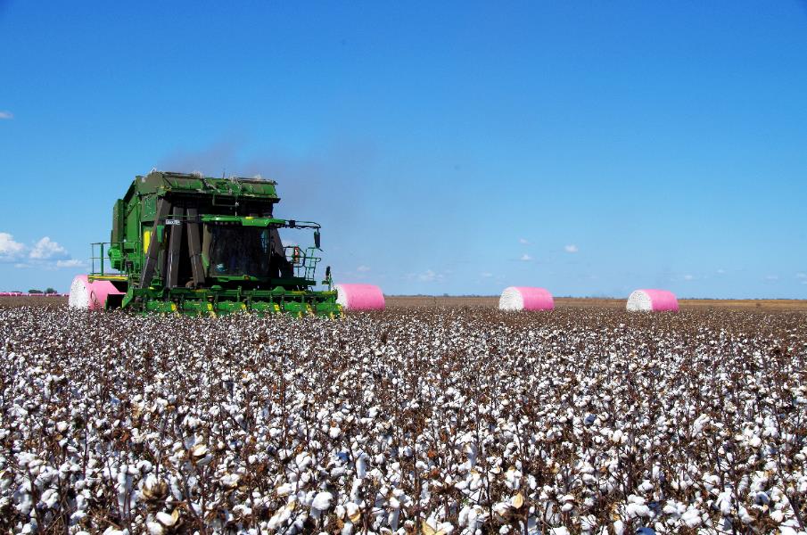 On the sixth day of Christmas: Wee Waa cropping powerhouse sold for $23.65M