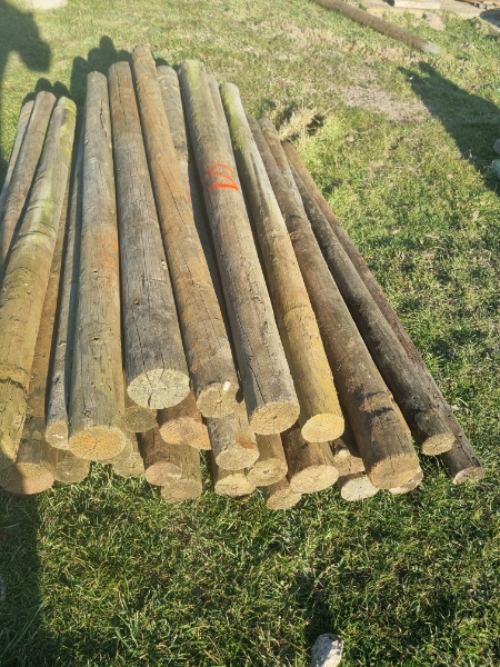 Grapefield Posts Lot 49 - Treated Pine Posts | AuctionsPlus