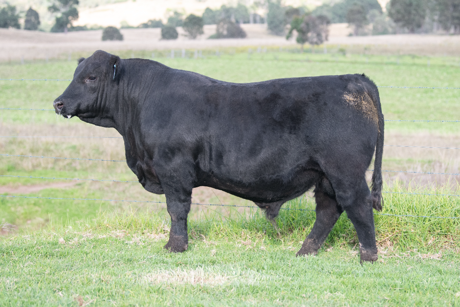 Lot 2 - PENTIRE U-TURN U4 | AuctionsPlus