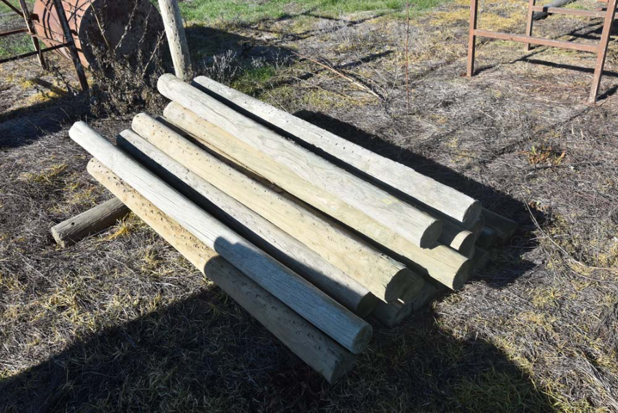 Lot 48 - 20 x Pine Posts | AuctionsPlus