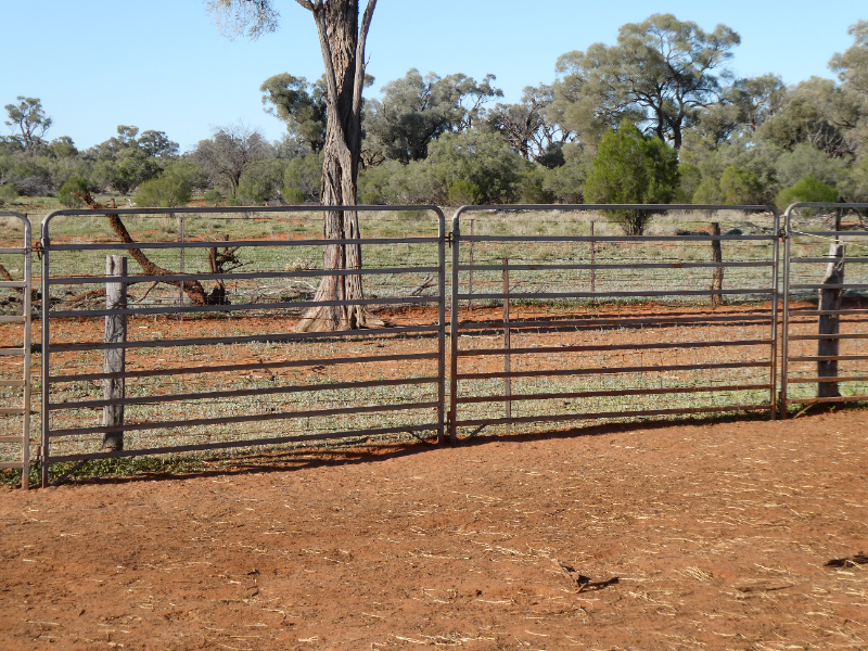 Lot 146 - Arrow Portable Sheep & Goat Loading Ramp & Panels | AuctionsPlus