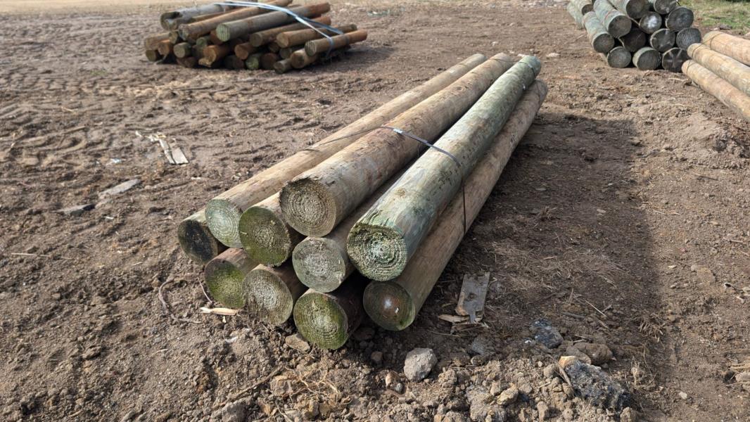 Lot 109 - Treated Posts 10 of 150 - 250 x 3m | AuctionsPlus