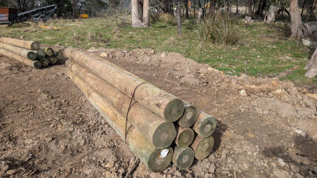 Lot 110 - Treated Posts 8 of 150 - 200 x 3m | AuctionsPlus