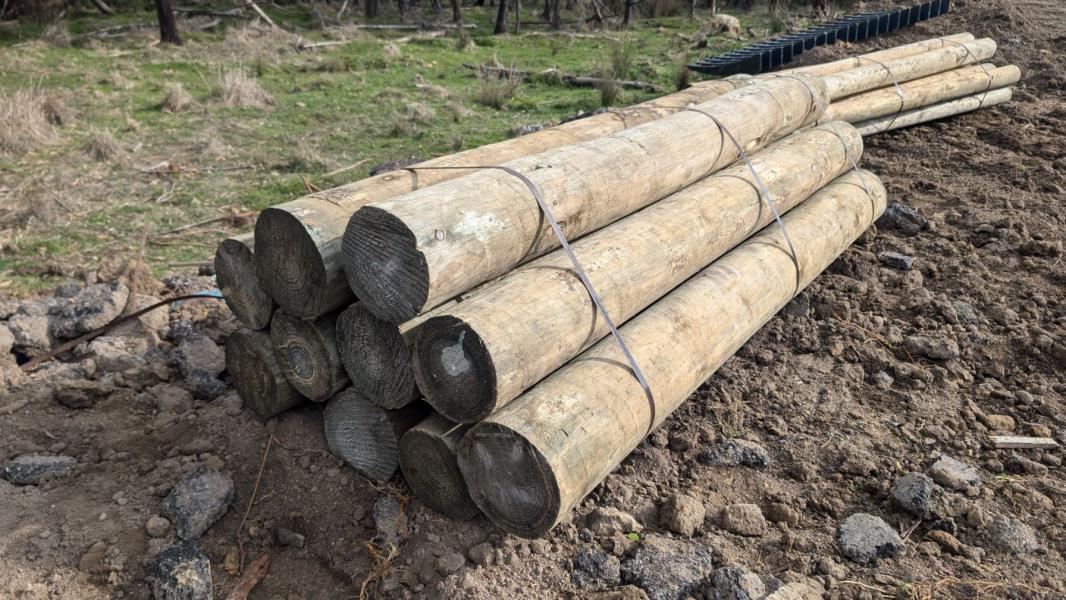Lot 112 - Treated Posts 10 of 250 - 300 x 2.4m | AuctionsPlus