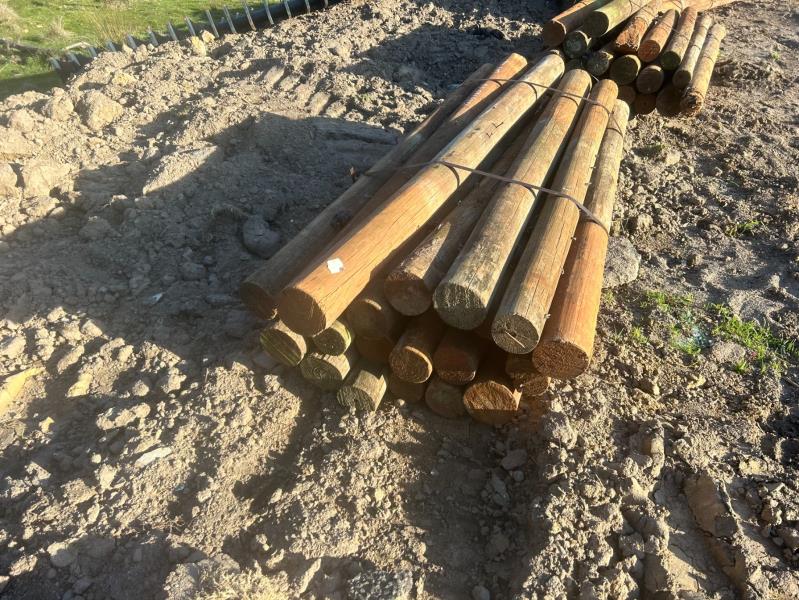 Lot 114 - Treated Posts 20 of 120 - 150 x 1.8m | AuctionsPlus