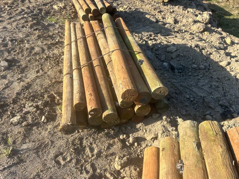 Lot 115 - Treated Posts 20 of 120 - 150 x 1.8m | AuctionsPlus