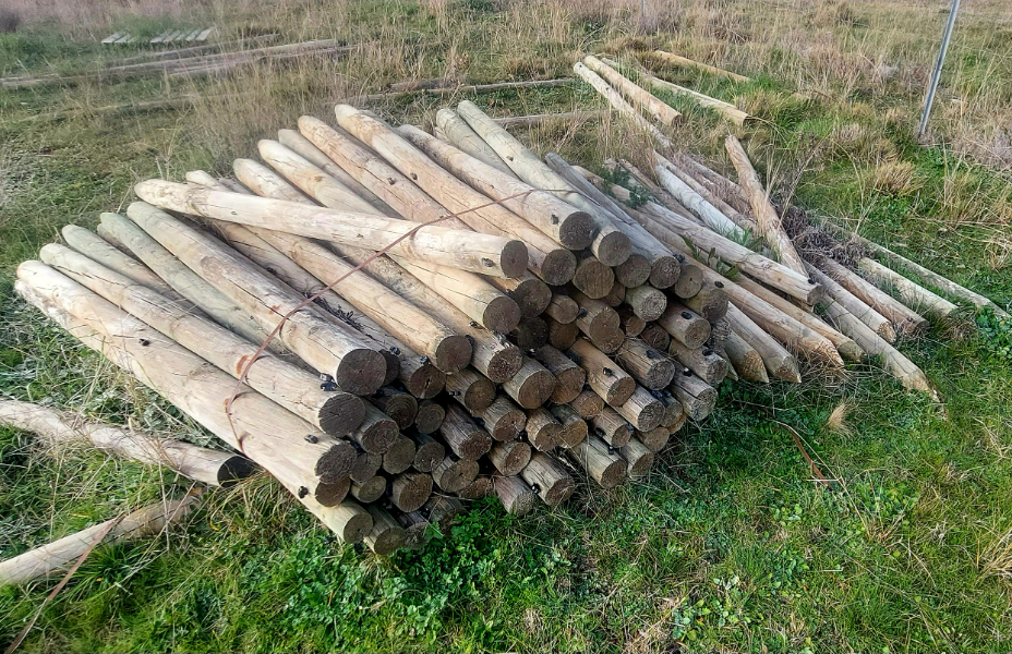 Lot 233 - Treated Posts X100 | AuctionsPlus