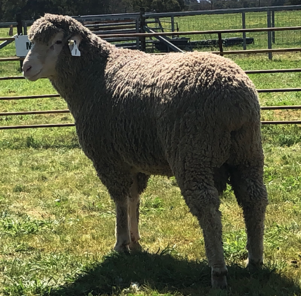 Lot 1 Tag MD230508 AuctionsPlus