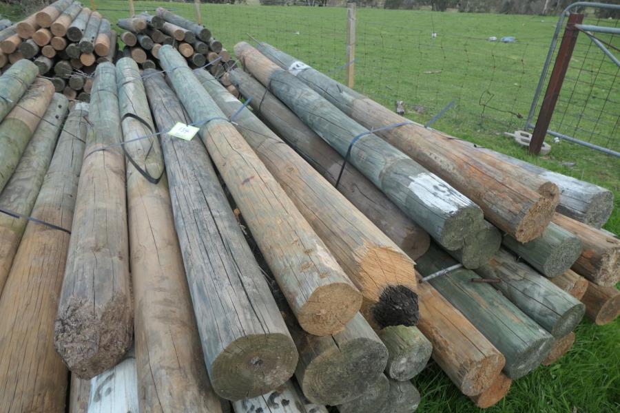 Lot 134 - 2 x Bundles Treated Pine Posts | AuctionsPlus