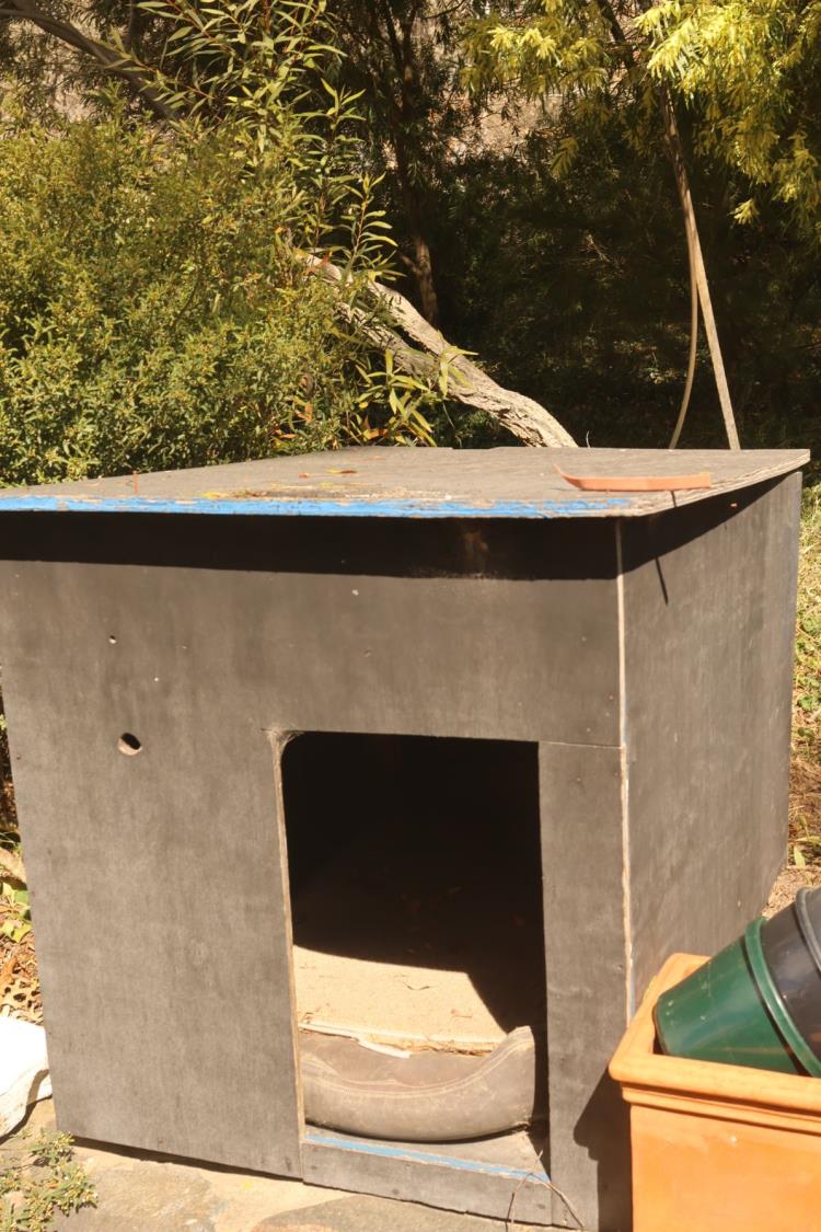 Lot 70 Dog Kennel AuctionsPlus