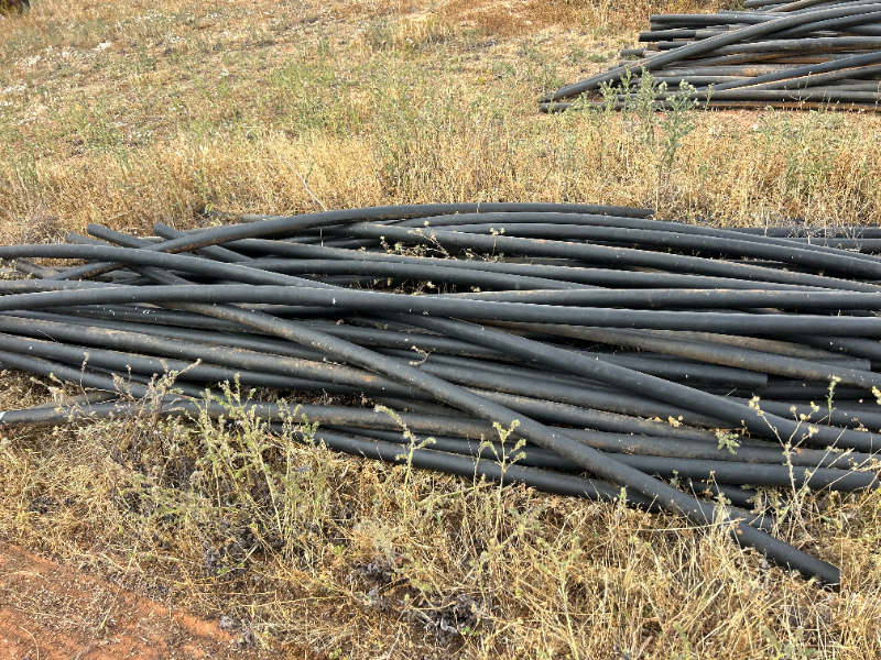 Lot 80 - Syphons | AuctionsPlus