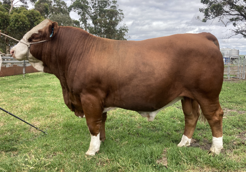 Lot 7 - INLET VIEWS USAIN U015 (P) | AuctionsPlus