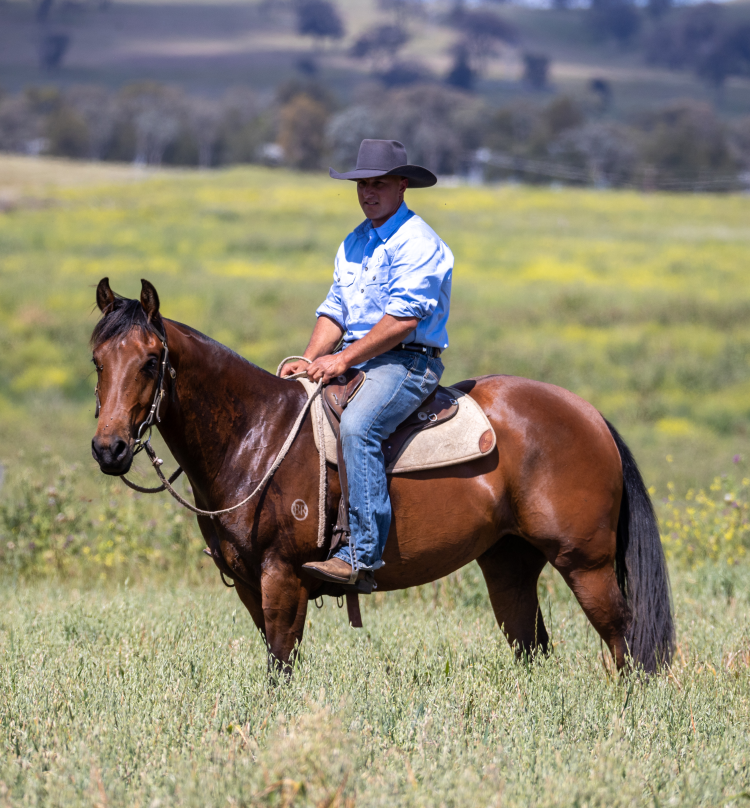 Lot 589 - CUT A RUG | AuctionsPlus