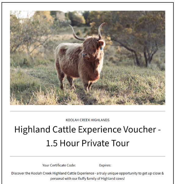 Lot 3 - Highland Cow Experience | AuctionsPlus