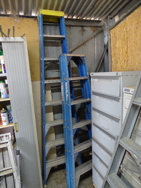 Lot 252 - 2 BAILEY LADDERS | AuctionsPlus
