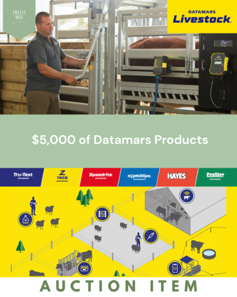 Lot 5 - Datamars Livestock | AuctionsPlus