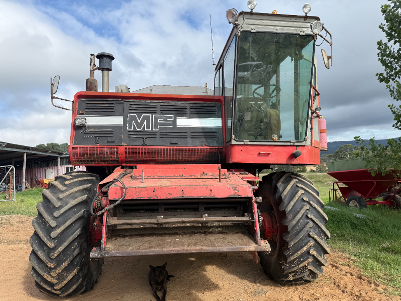 Lot 178 - MASSEY FERGUSON 860 HEADER | AuctionsPlus