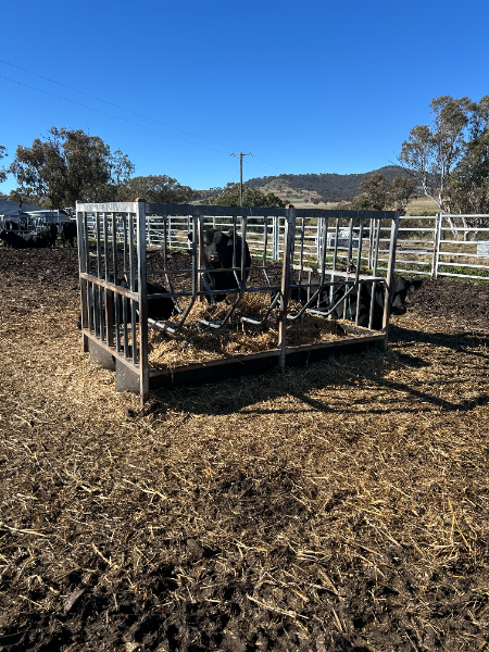 Lot 38 - Steel Hay Rack with belt bottom | AuctionsPlus