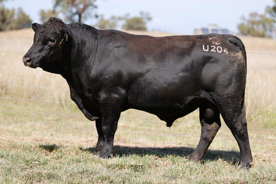 Lot 12 - TIVOLI PRIME MINISTER U204 | AuctionsPlus