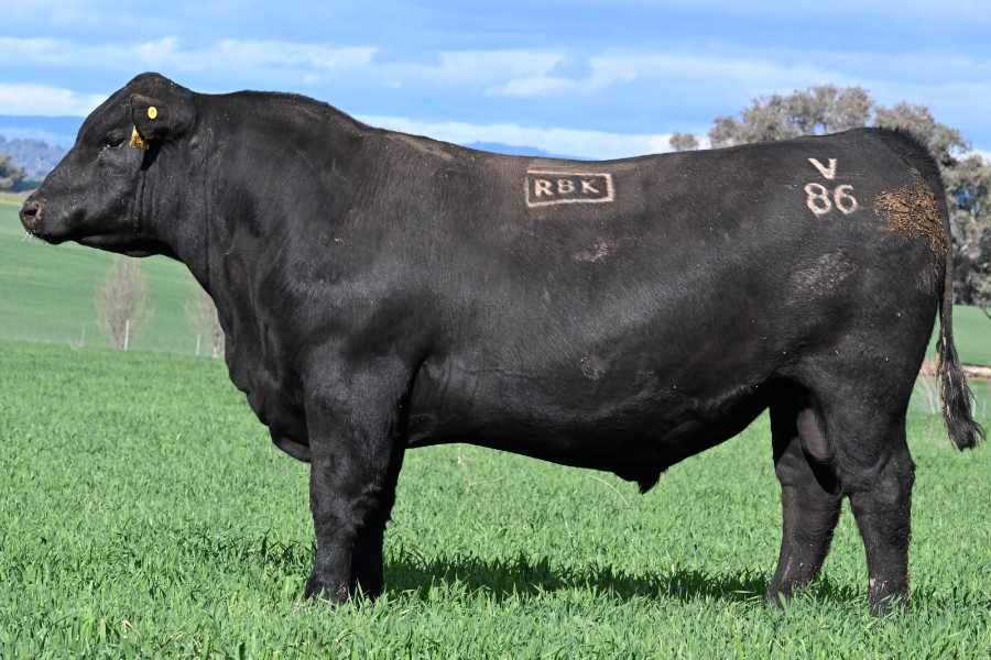 Lot 34 - REDBANK RESOURCE V86 | AuctionsPlus